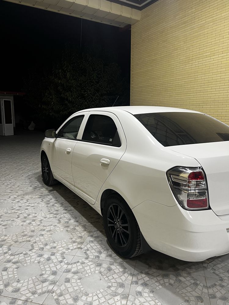 Cobalt 2025 midnayt tozza
