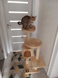 Ansamblu joaca pisici 110 cm inaltime