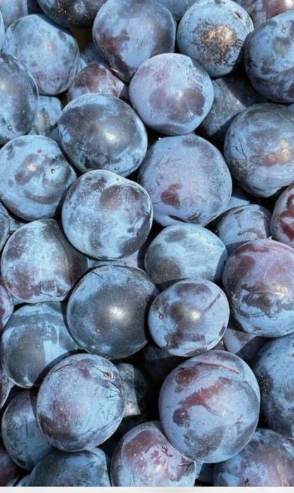 Magiun/ Povidla 100% naturala