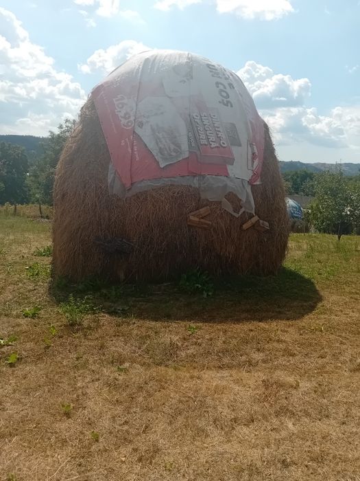 Vind fîn amestecat cu lucernă