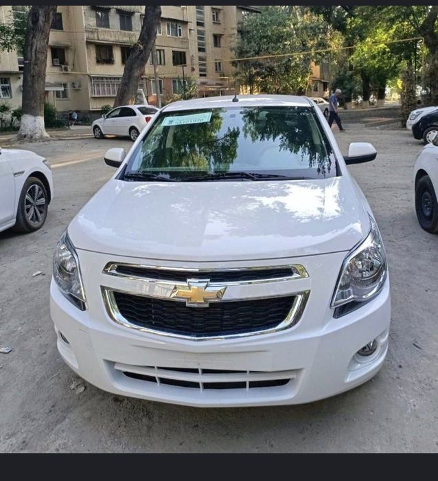 Yengi kobilt sotiladi