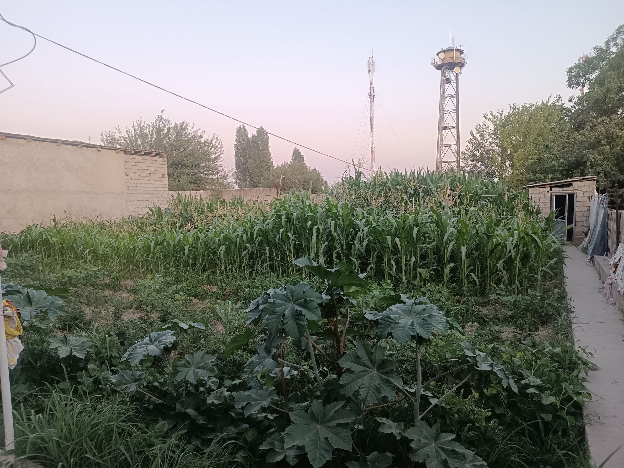Uchastka 6 sotix