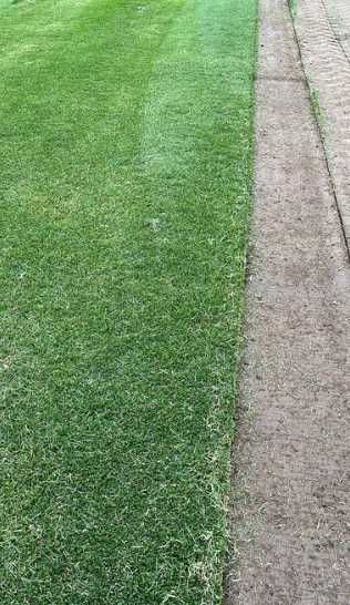 Gazon Rulou Si Sisteme de irigatii + Insamantare