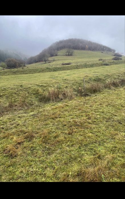 De vanzare o casa la tara