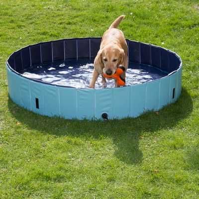 Piscină pentru câini
Ø 160 x î 30 cm