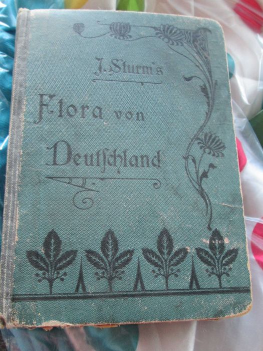 1905-Flora  germana - lb germana