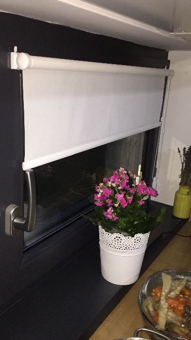 rulouri exterioare, zebre, rulouri, jaluzele verticale și orizontale