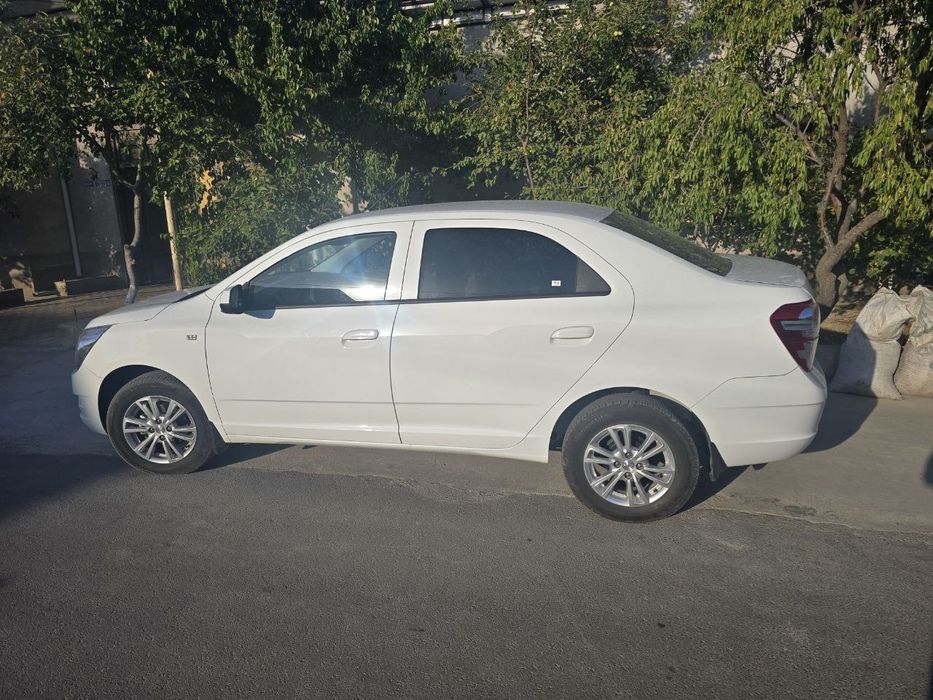 Yilli2024 probek 14ming toptoza