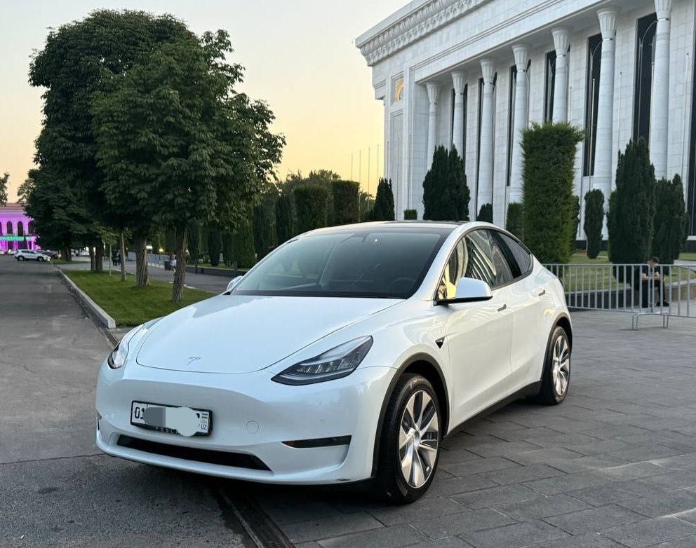Tesla Model Y  Dual Motor Long Range