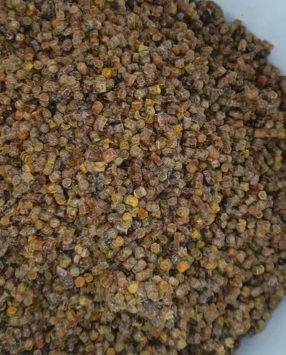 ПЕРГА пчелиная! АКЦИЯ. 18000 тг