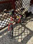 Bicicleta Trex