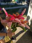 Flori lucrate handmade