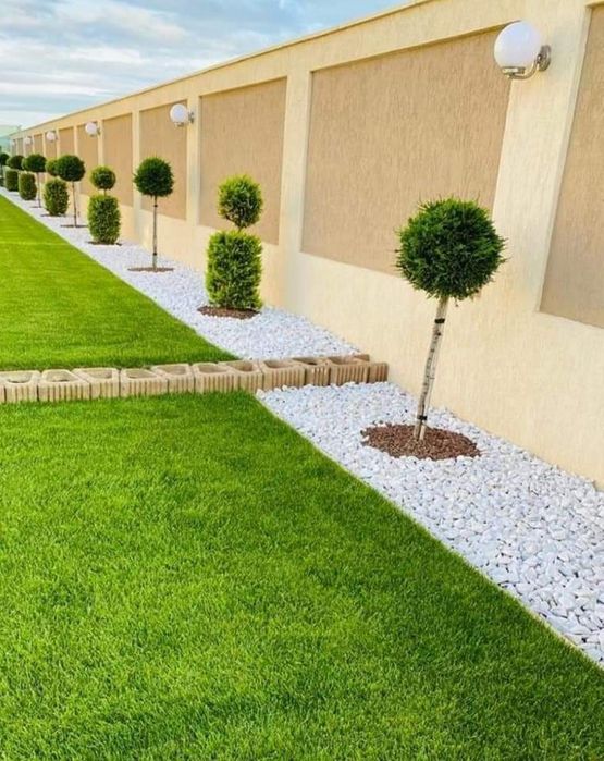 Vă oferim o gamă diversă de plante ornamentale preț accesibil