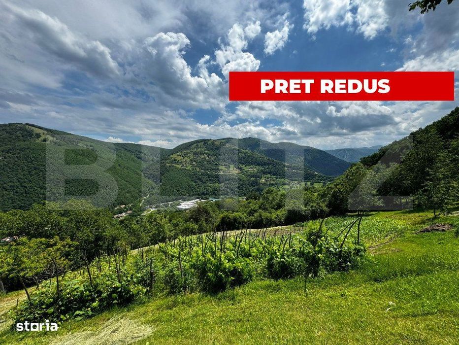Casa la munte cu teren generos de 9340mp in zona Capalna - Valea Sebes