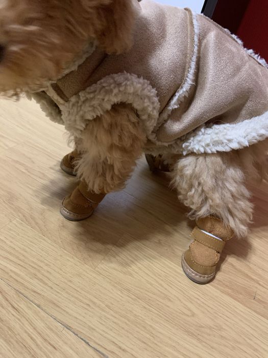 Комплект топъл елек и ботушки за кучета