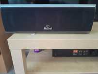 Magnat vector needle center 10