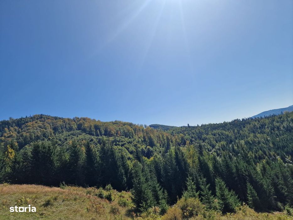 Vindem teren forestier 44165 mp Doabra - Bucovina