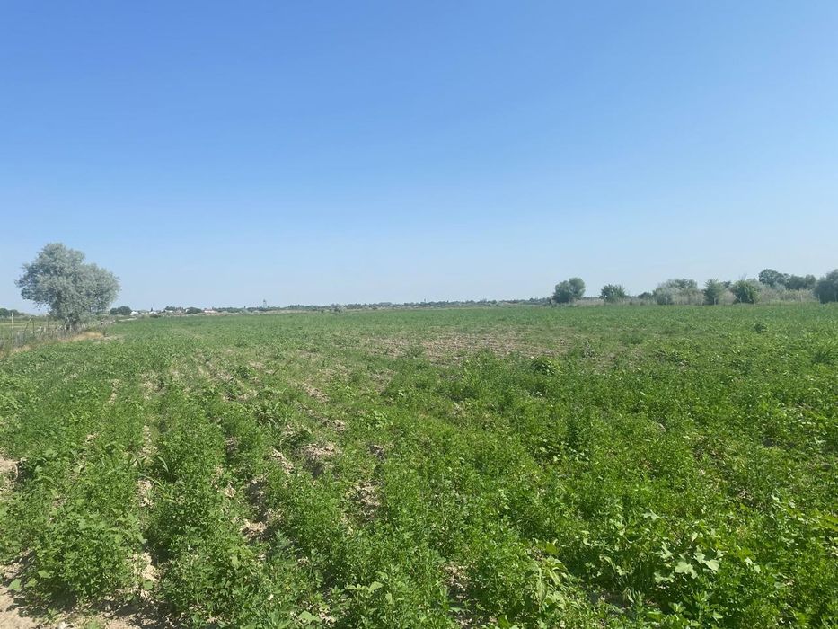 Суармалы жер сатылады