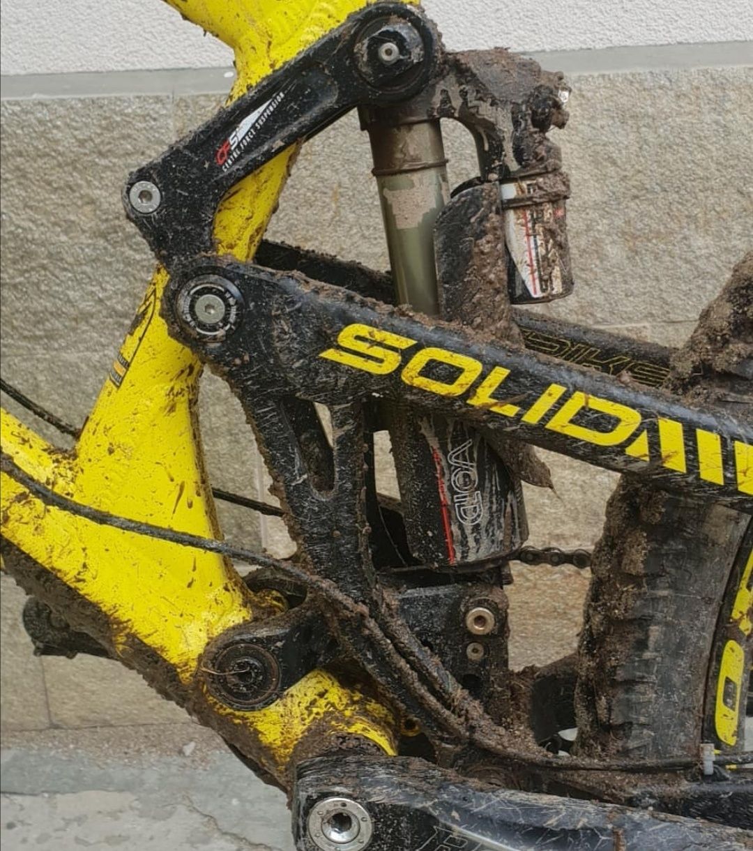 Solid strike loose riders limited edition