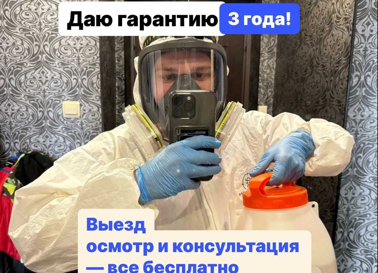 Дезинфекция клопы тараканы блохи муравьи крысы | Гарантия 100%