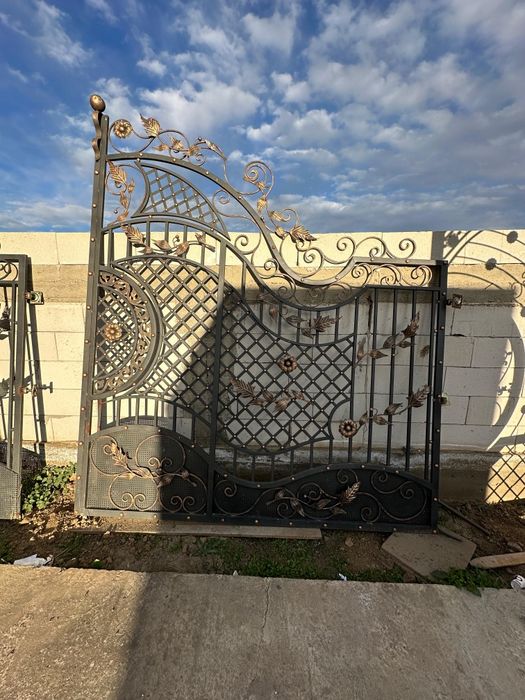 Porți de fier cu model