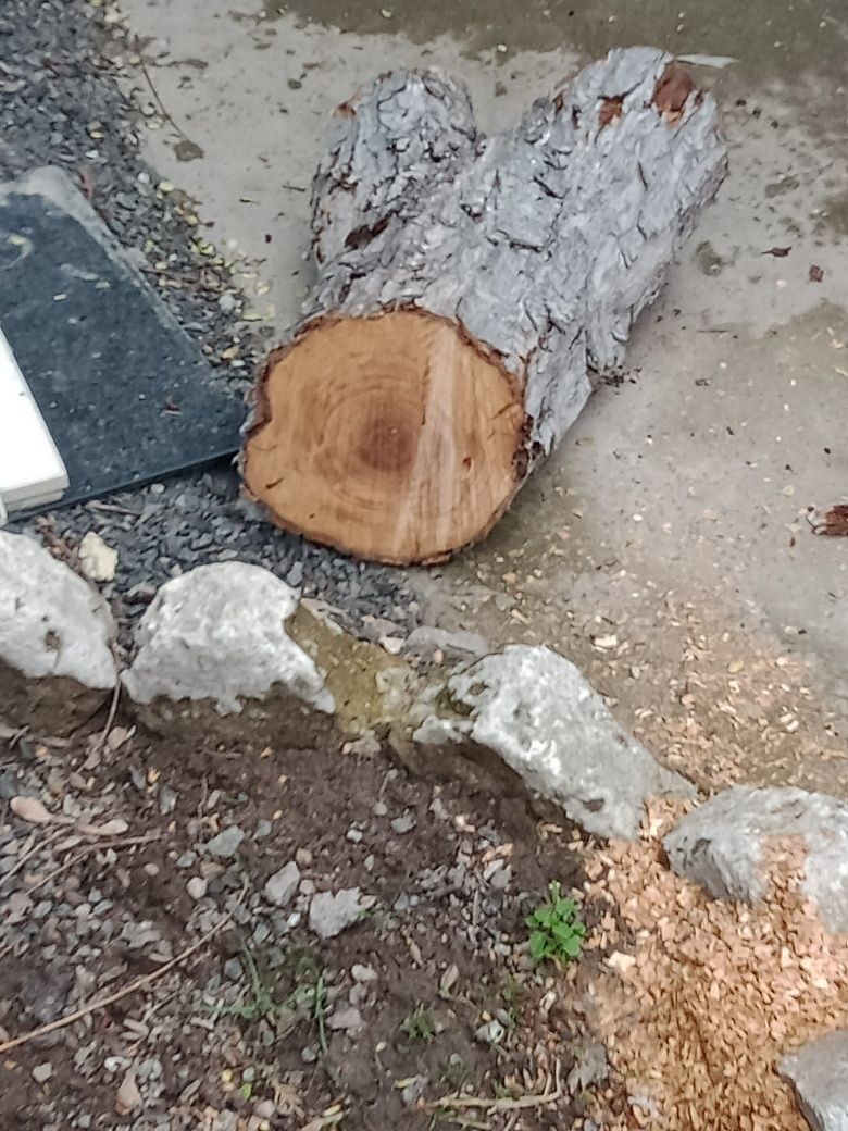 Дрова на растопку.