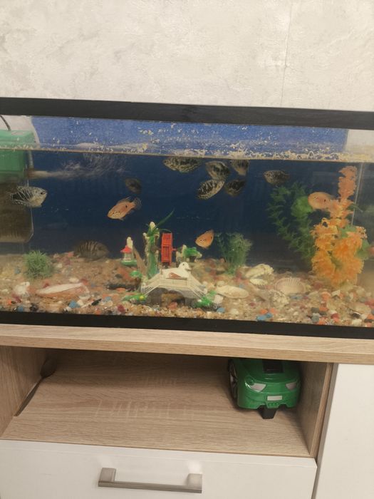 Продам аквариум с рыбками