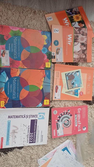 Manuale Clasa a-VI-a