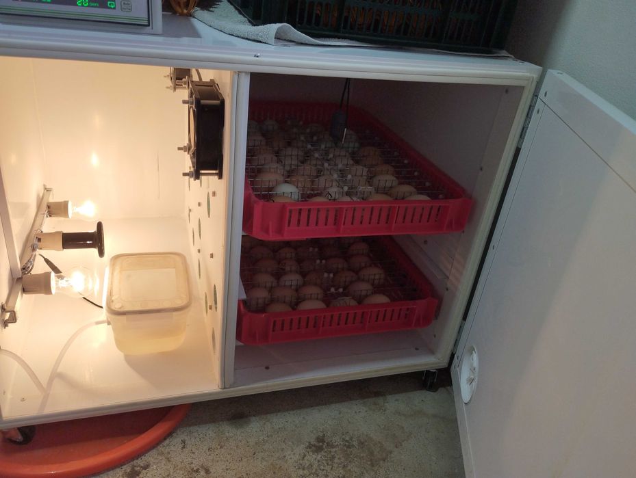 Incubator 180 utilizat
