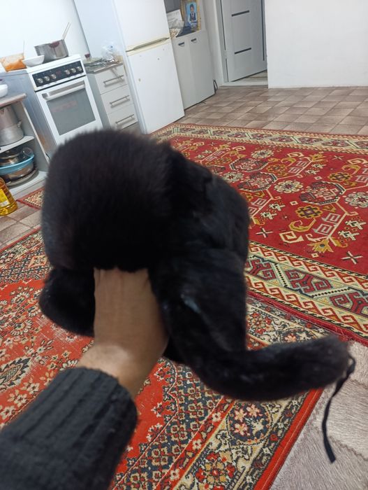 Продам ушанку 6000т