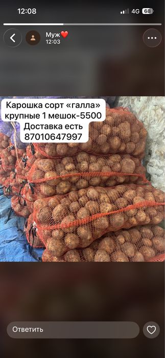 Картошки  сорт “галла”