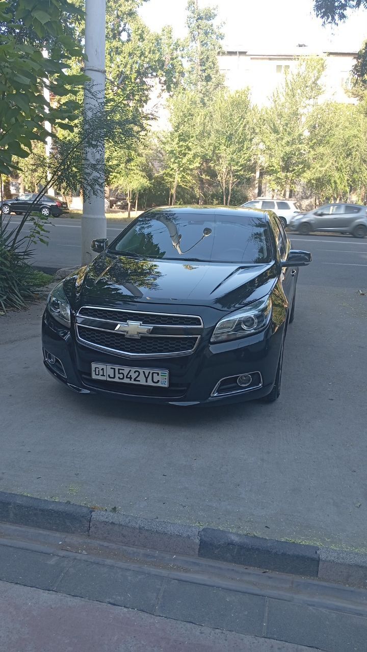 Malibu1 3-pozitsiya
