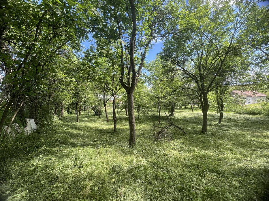 Teren 1150mp la tara, deschidere la 2 stazi