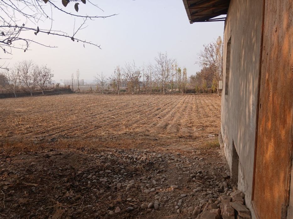 Yet sotiladi 22 sotikdan 2 ta