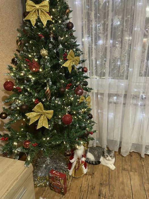 Пролам елку очень красивую