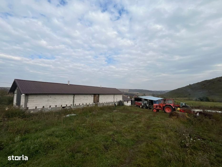 De vanzare ferma: hala de 500 mp.+teren 6500 mp, Frata