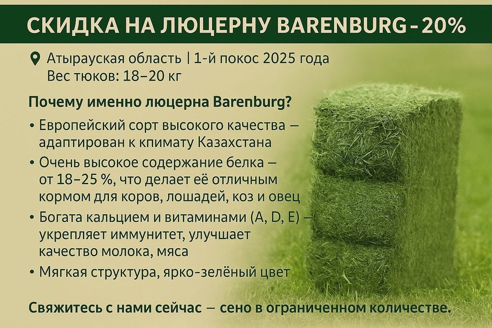 Голландиялык Жонышка(Люцерна) с доставкой 1 и 2 покос 2025г