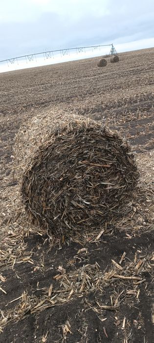 Baloți tulei de 120 pe 120