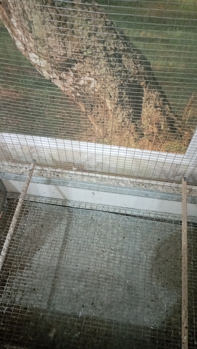 Кушлар учун Валер.