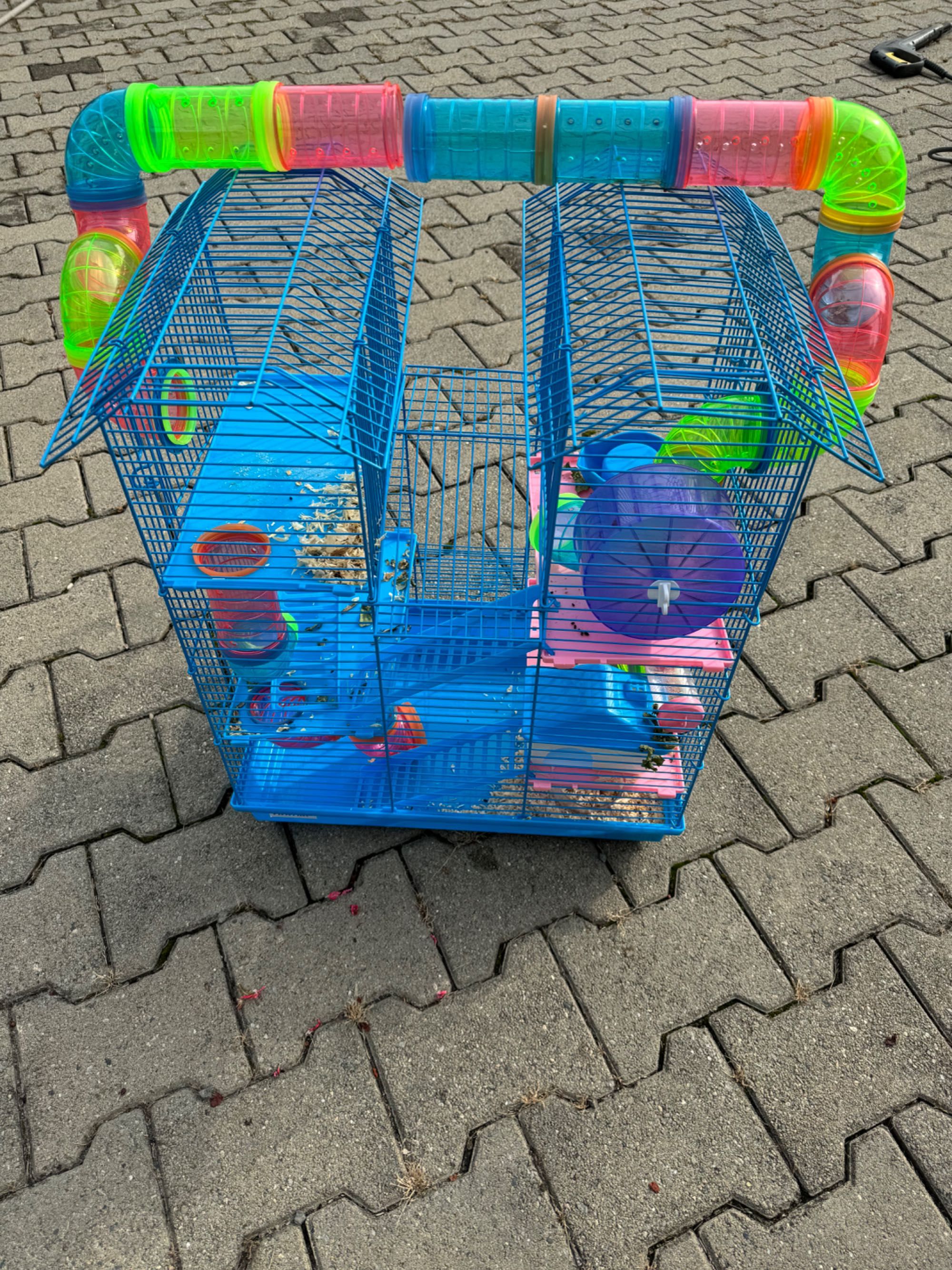 Colivii păsări și hamsteri