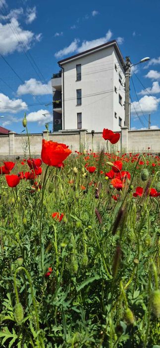 Apartament penthouses, 3 camere
