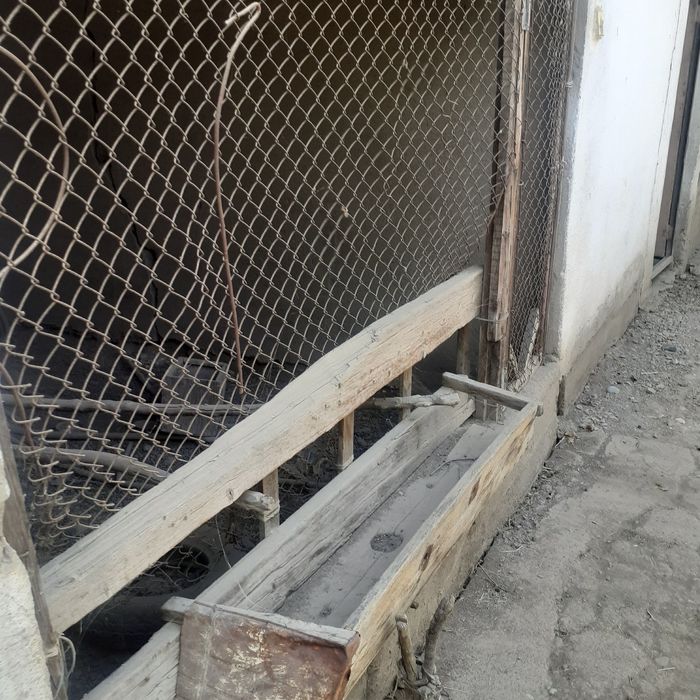 Sariosiyo t bo'yrapo'sht m 250 uy barcha sharoitlarga ega  honadon