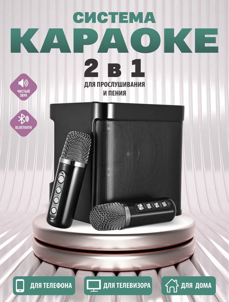 Караоке колонка с двумя микрофонами.