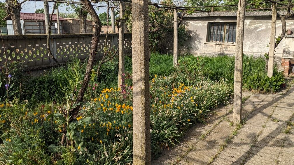 Продава се Къща в с. Голям чардак, Област Пловдив - 150 кв.м за 267 €/кв.м - Снимка #4