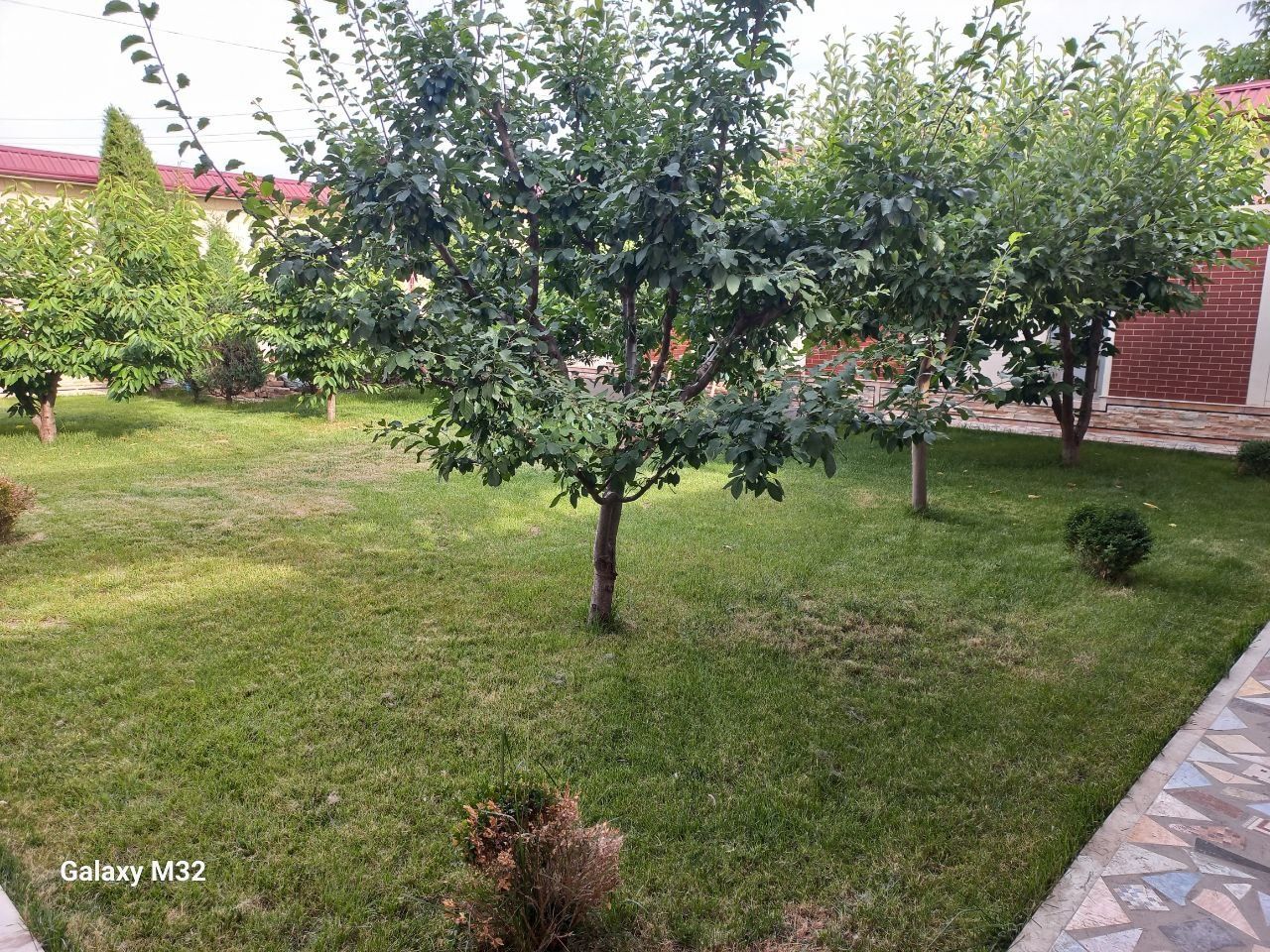 Продается дом в Солнечный