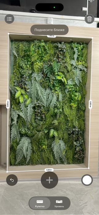 Исскуственная зелень/декор