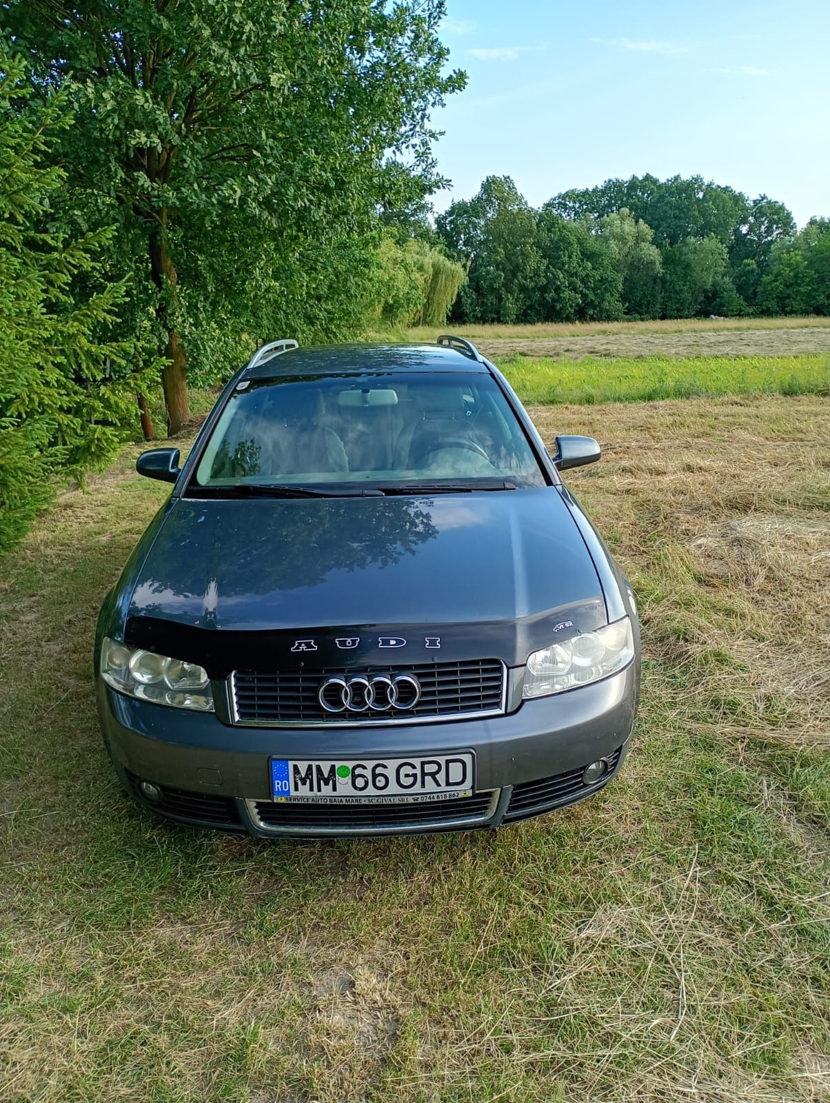 Vand Audi A4 din 2004
