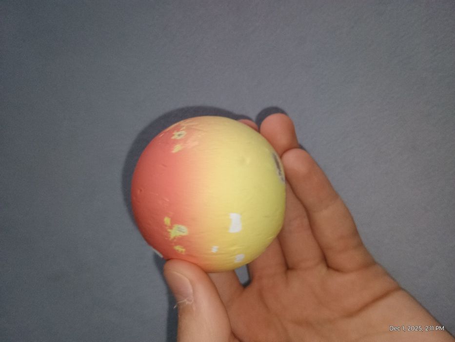 tama moonshine peech - limited edition