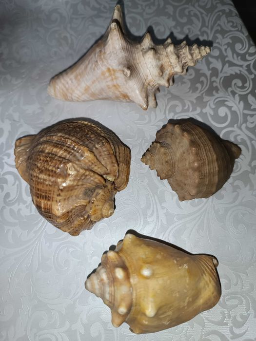 Продам разные статуэтки и сувениры из советского союза