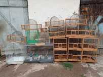 Продам клетки и ловушки